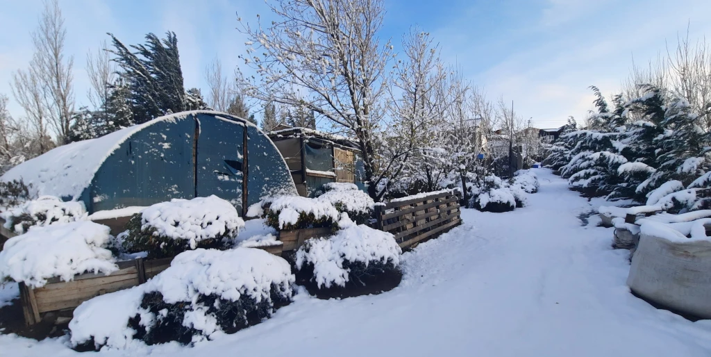 El vivero Nativas del Sur con nieve